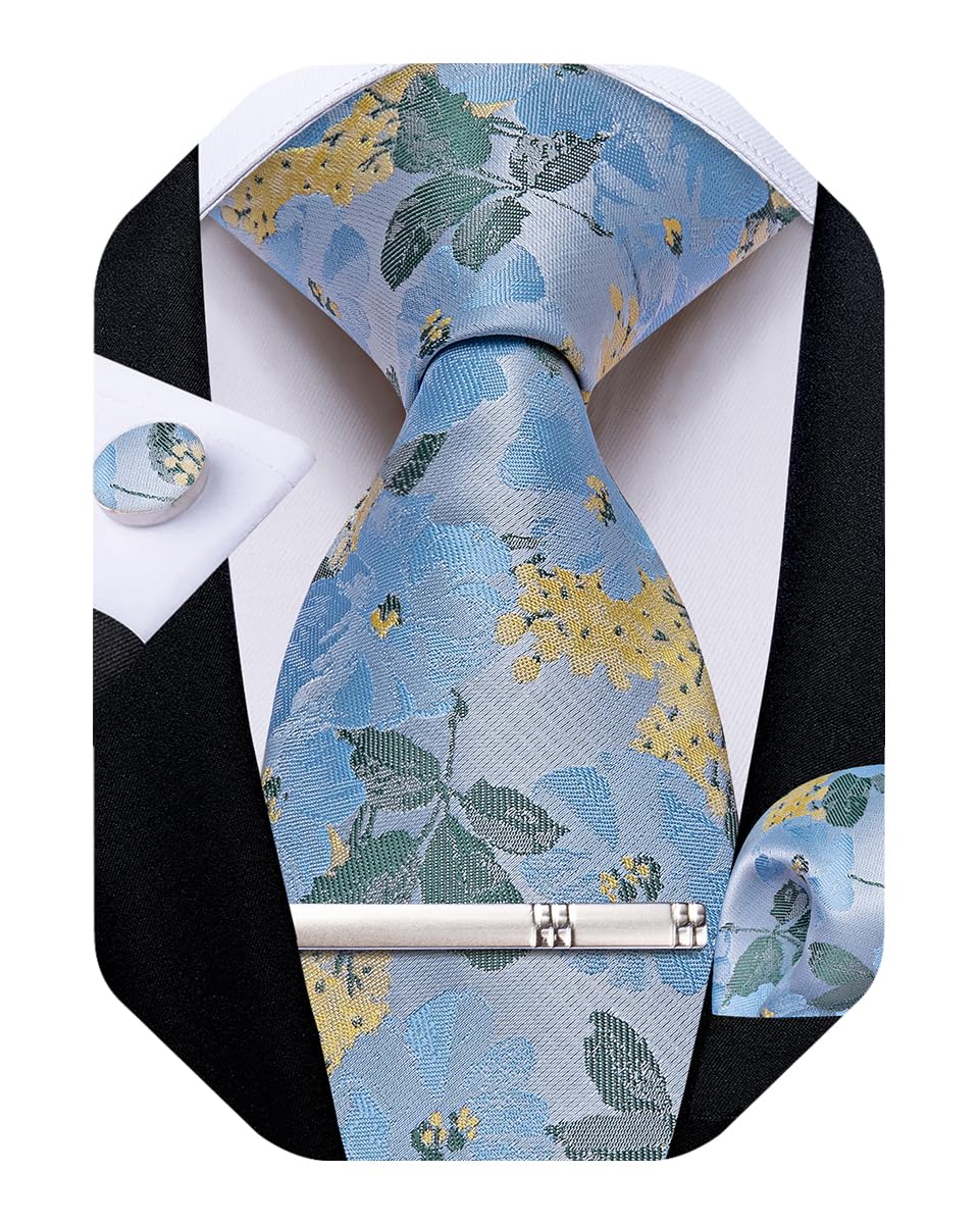 DiBanGu Silk Floral Ties for Men Woven Paisley Necktie