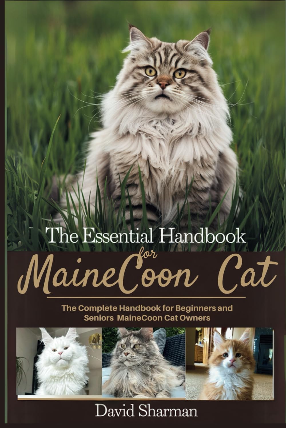 THE ESSENTIAL HANDBOOK FOR MAINECCON CAT: The Complete Handbook For Beginners And Seniors Mainecoon cat owners