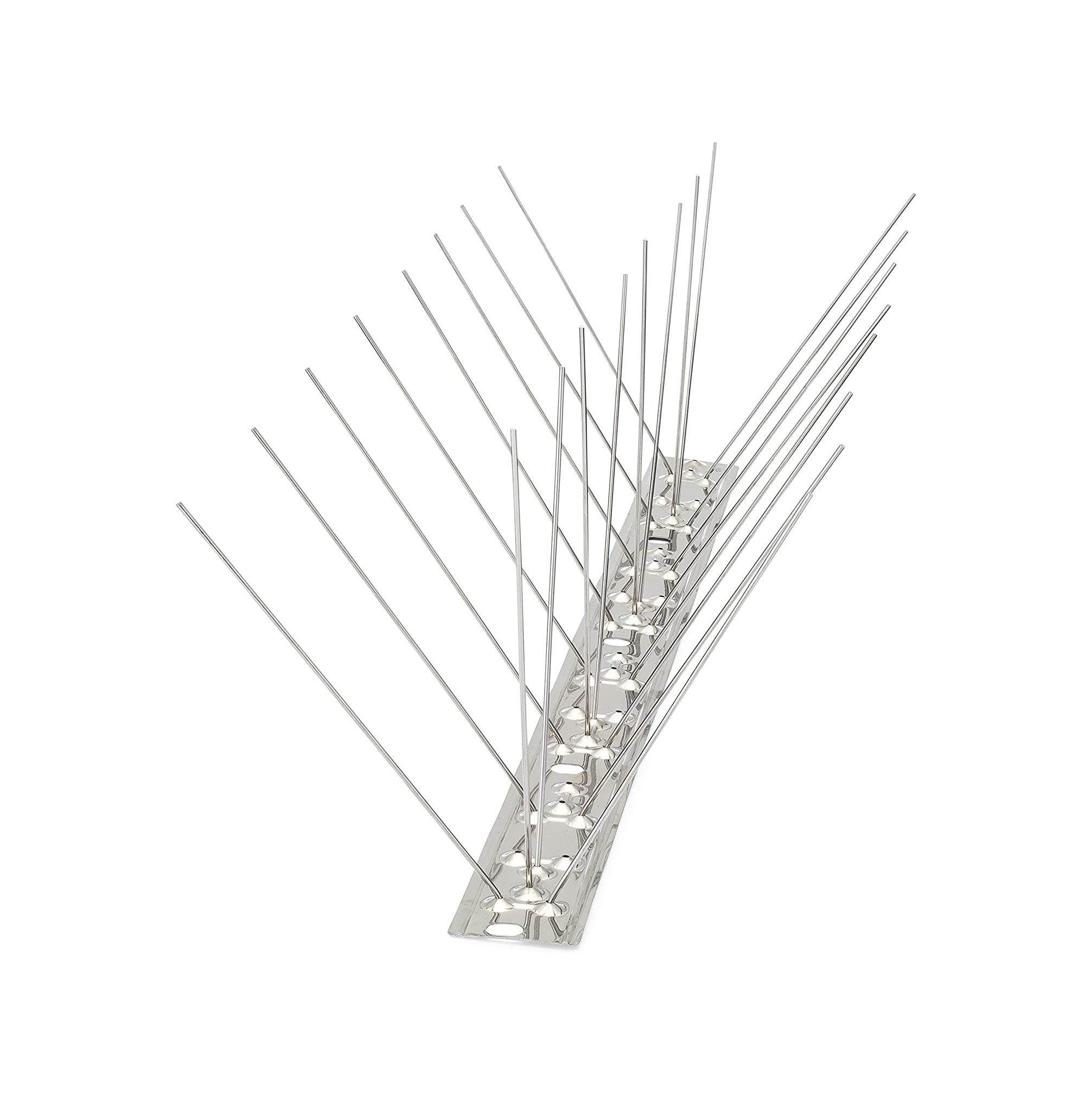 Birds Spike - Silver, 5 Root