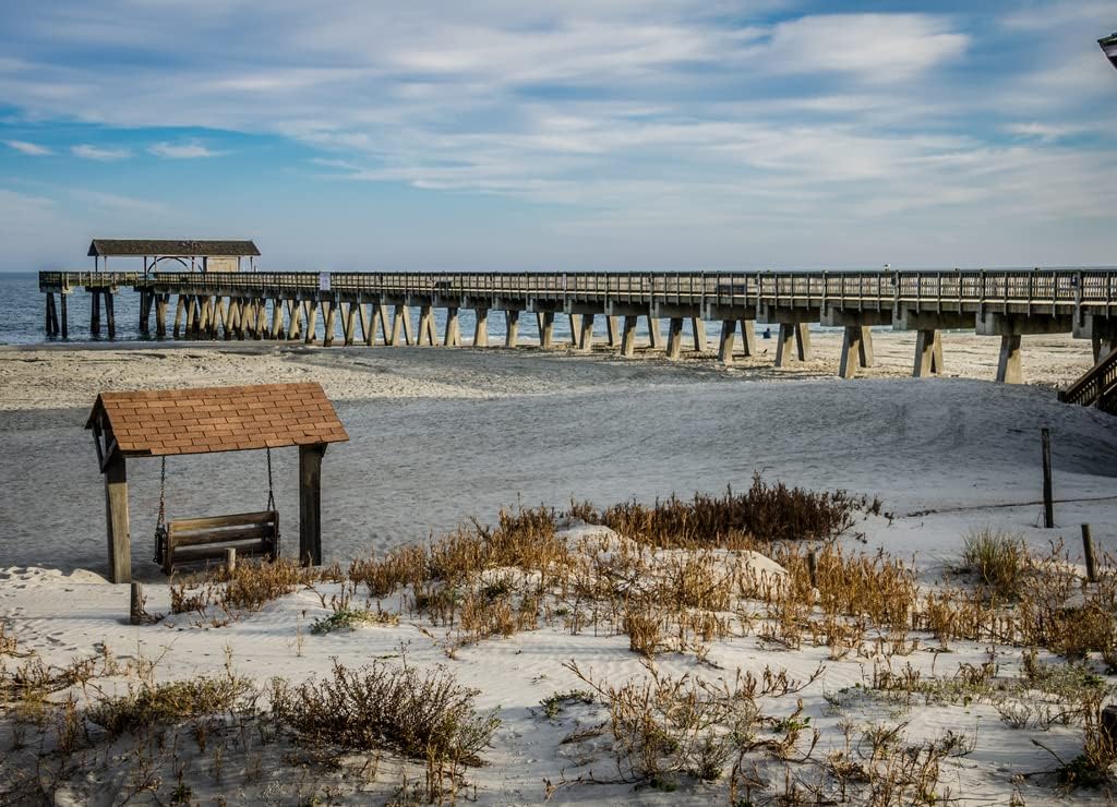 Noah Jigsaw Puzzle Tybee Island pier in Southern Georgia United States on The Beach of The Atlantic Ocean, and a Swing 1000 Pieces