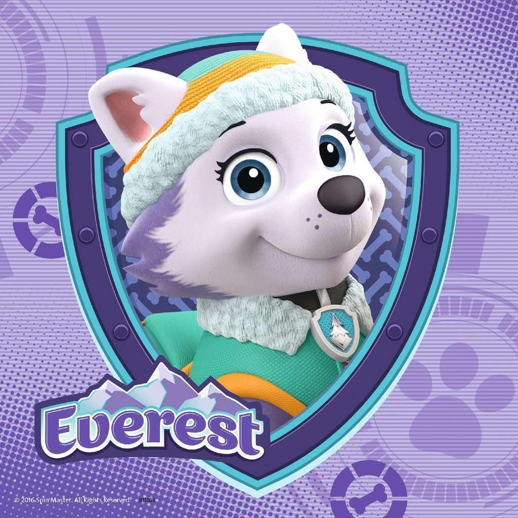 Ravensburger 8008 Paw Patrol Skye & Everest Jigsaw Puzzles - 3 x 49 Pieces