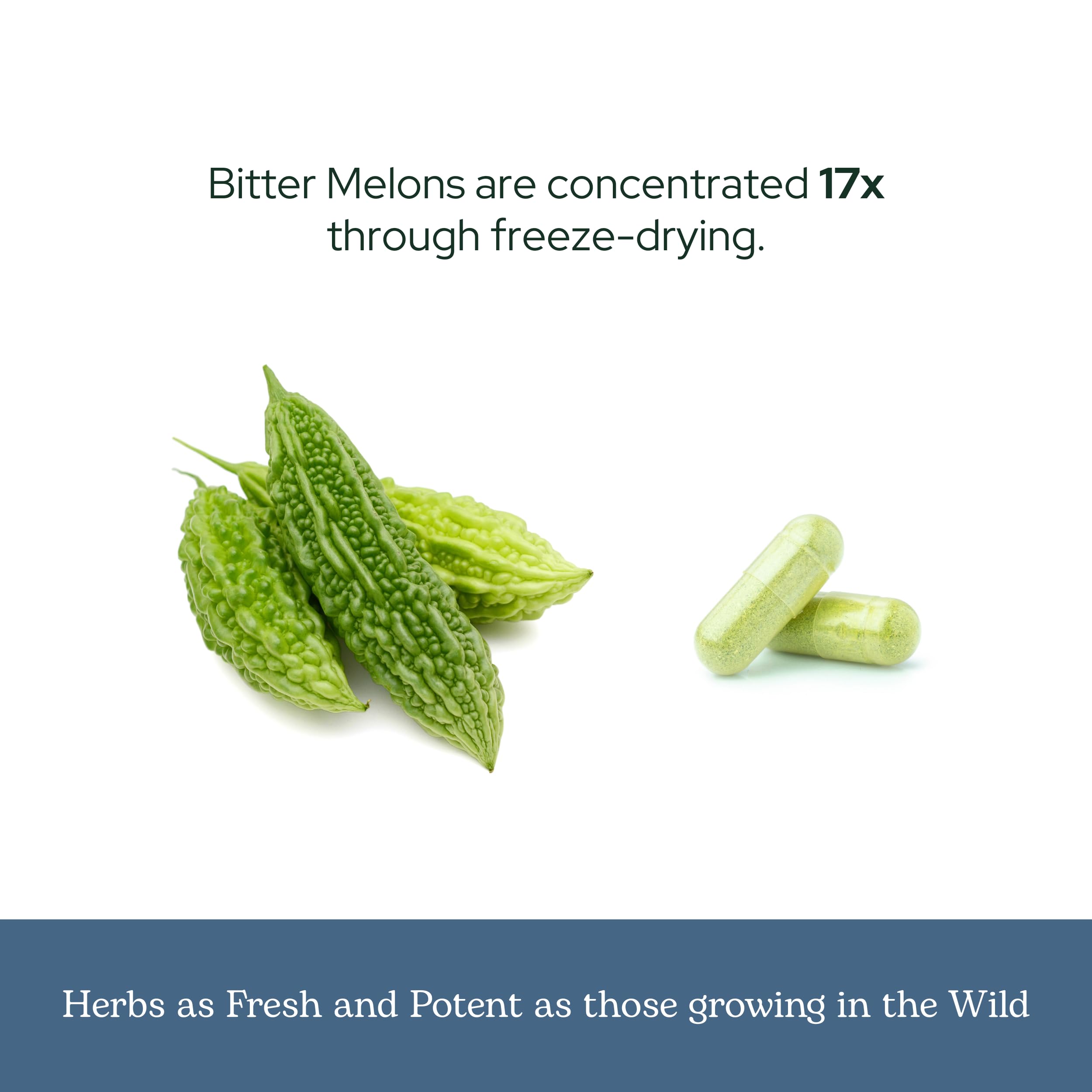 Amazon.com: Eclectic Herb - Bitter Melon Capsules | Digestion