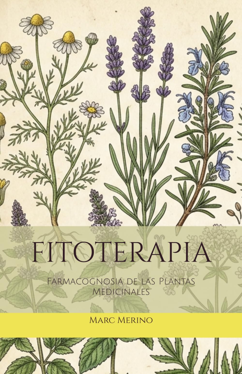 FITOTERAPIA: Farmacognosia de las Plantas Medicinales (Naturopatia, Band 1)