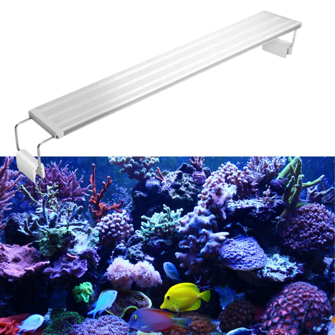 ANIMAUX LA 40 SERIES AQUARIUM LIGHT FOR FISH TANK 1.5FT (40-50CM) MULTI-COLOR - ALUMINUM ALLOY SHELL AND EXTENDABLE BRACKETS | 1.5FT FISH TANK LIGHT LED WATERPROOF | FOR FISH AQUARIUM LIGHT 1.5FT TANK (B0DD3LFF34) Amazon Price History, Amazon Price Tracker