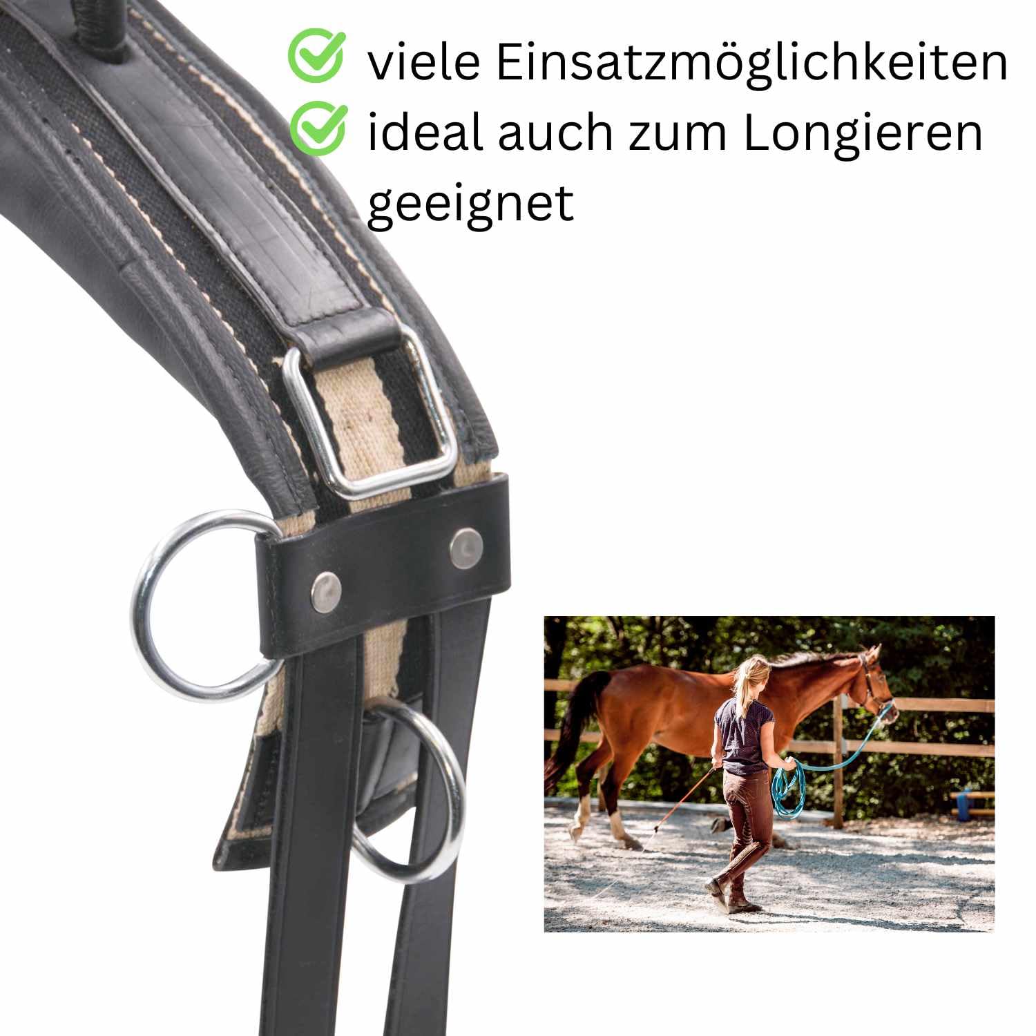 AMKA Longiergurt Reitgurt Soft Riding Gurt, Haltegriff auch für Holzpferde geeignet
