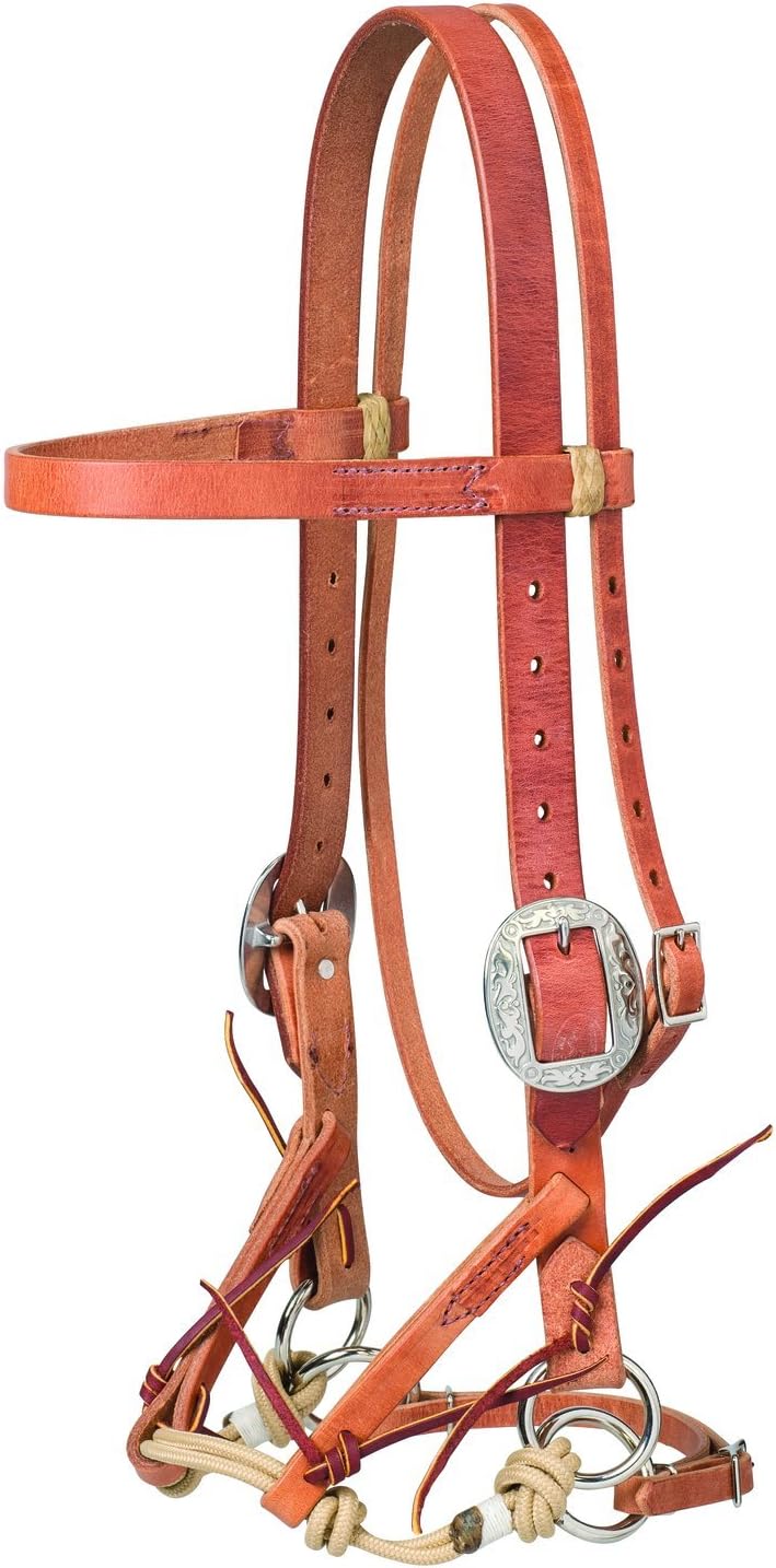 Justin Dunn Bitless Bridle