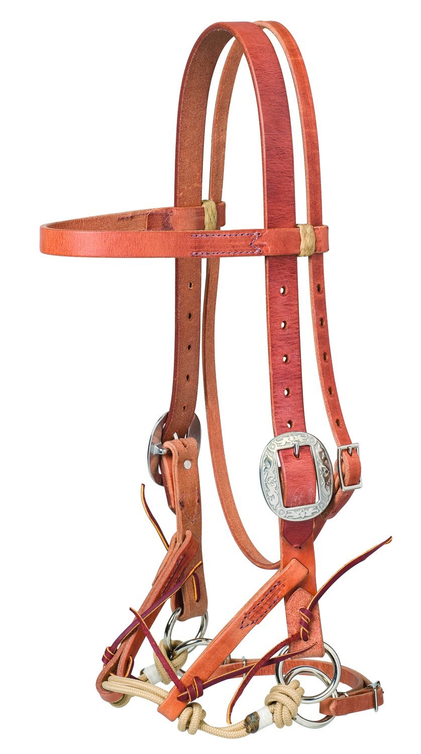 Justin Dunn Bitless Bridle