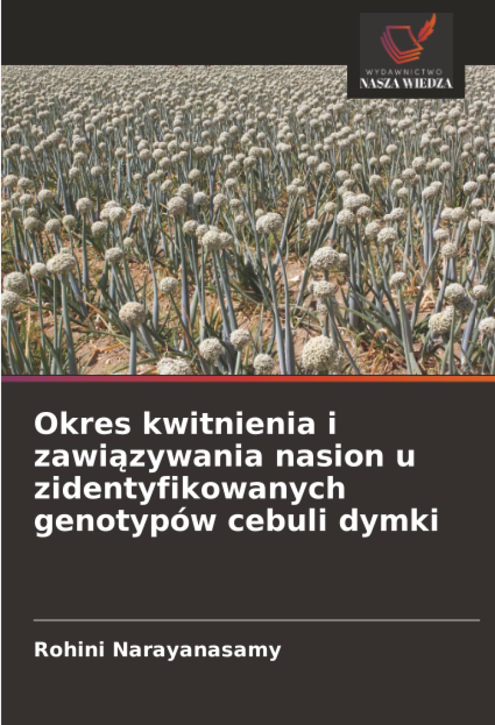 Okres kwitnienia i zawiązywania nasion u zidentyfikowanych genotypów cebuli dymki