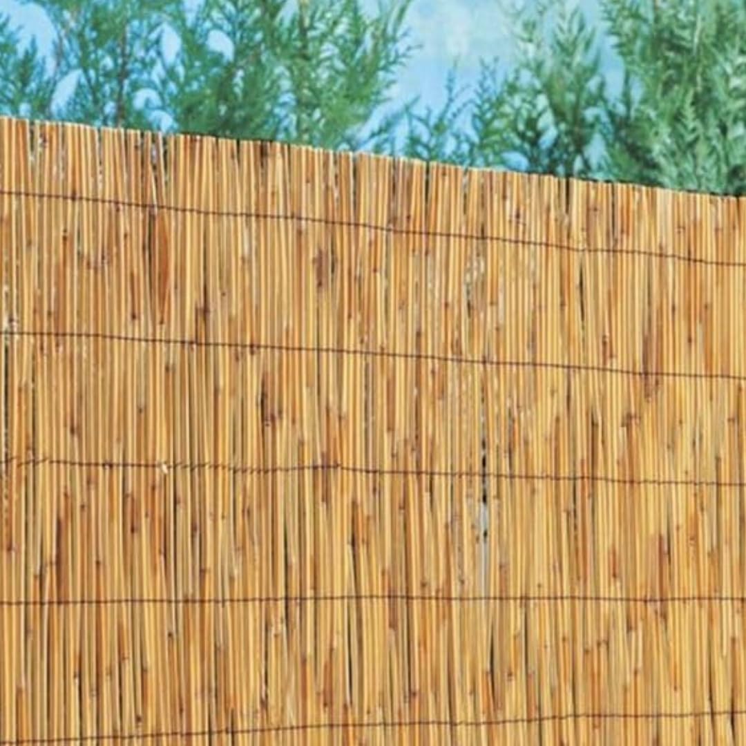 Cañizo de Bambu Pelado Privacidad Jardín Cerramiento (2_x_5_metros)