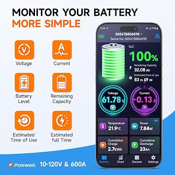 Foxwell BT630 Bluetooth Battery Monitor with Shunt & FOXWELL BT60 Car Battery Tester, 6V 12V Bluetooth Battery Load Tester