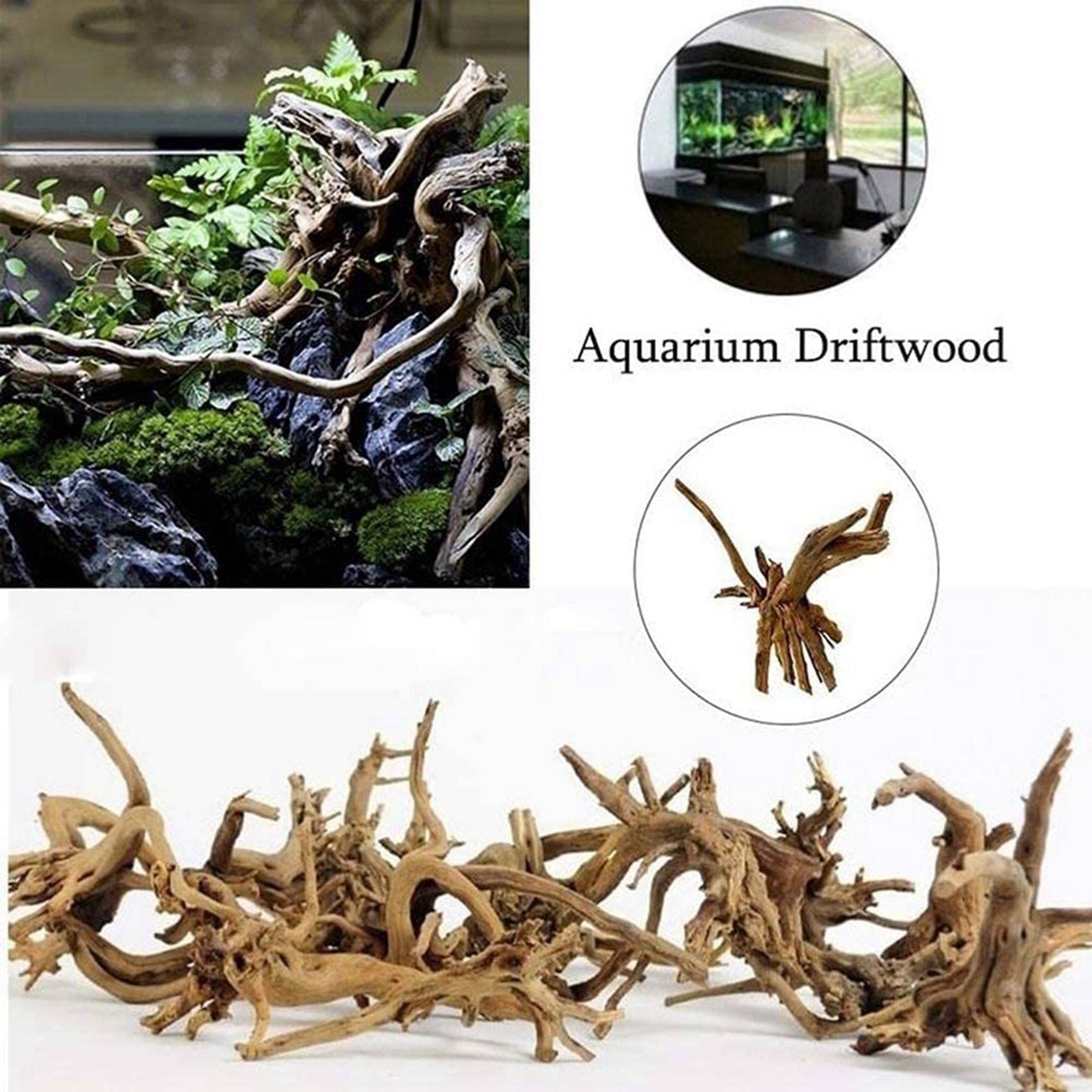 Speesy Mini legni per acquario, rami in legno naturale, decorazioni per acquario, d'albero, legno da pesca assortito (confezione da 20)