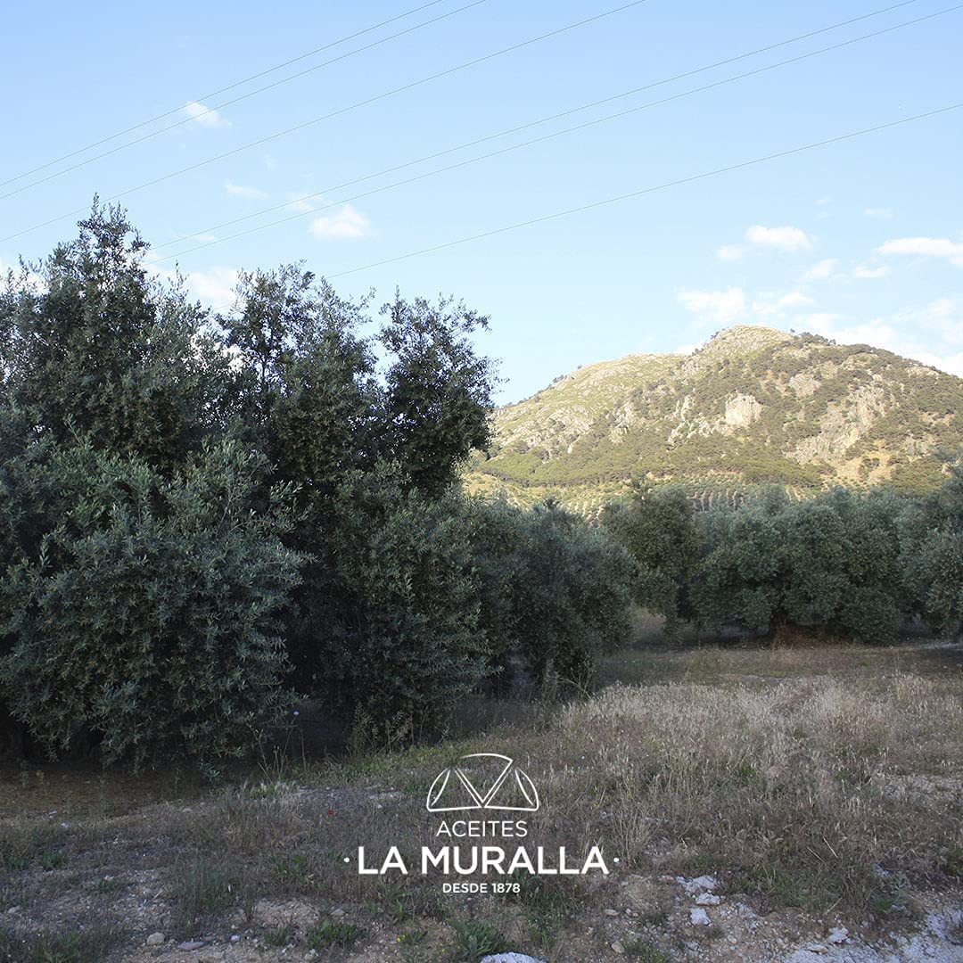 Aceite de Oliva Virgen Extra - Hojiblanca - 3 garrafas de 5 Litros – Extracción en frío – Olivar tradicional - Parque Natural de la Subbética Rute, Córdoba, Andalucía - [PRODUCTO DE ESPAÑA]
