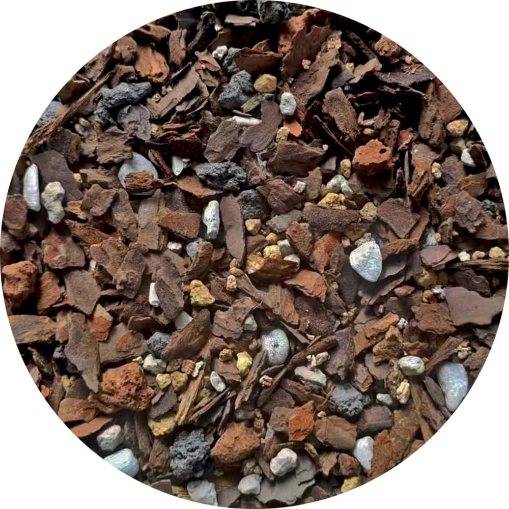 Premium Orchid Potting Mix 5QT- Indoor Plant Soil for Cattleyas, Phalaenopsis, Dendrobiums &-Balanced Drainage & Moisture Retention - Includes Orchid Bark, Perlite & Pumice