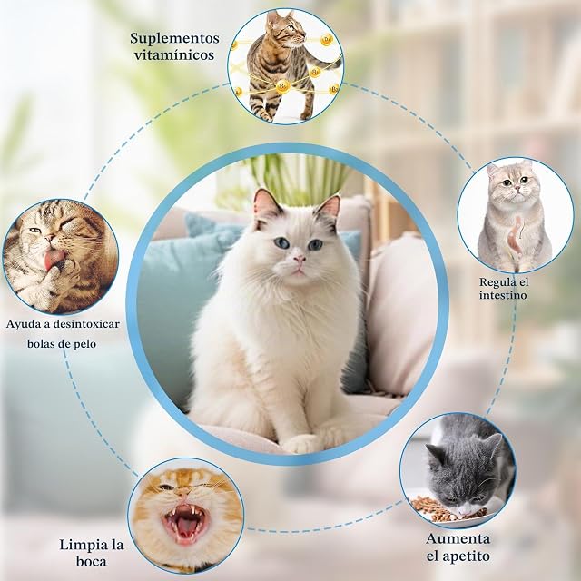 Foto 5 de 7 de Ziyonix Paquete de 4 bolas de hierba gatera para gatos, juguetes giratorios para lamer gatitos