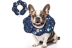 ElizaSoft Recovery Collar: The Unbeatable Dog Cone