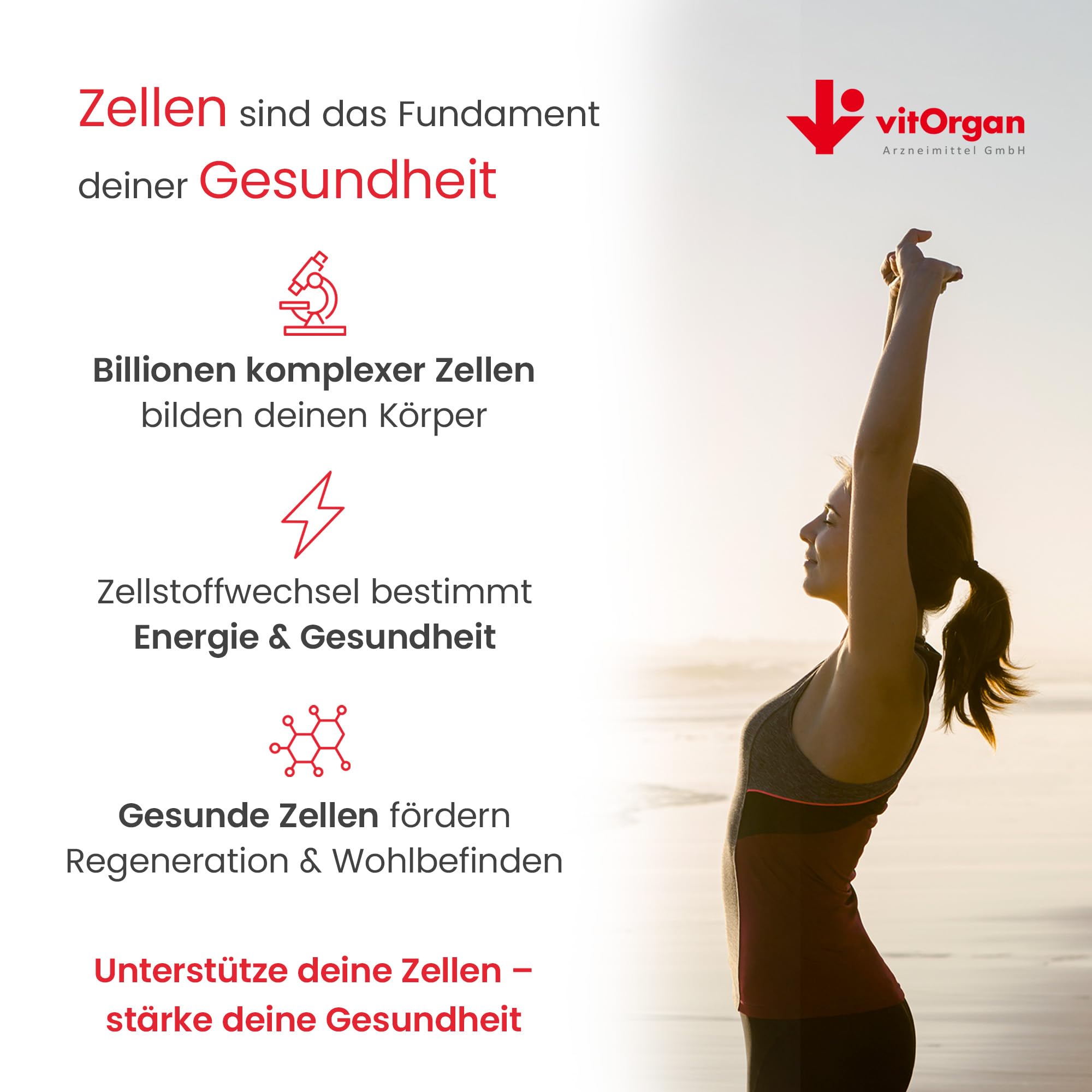 Nr. 29 Thymus mit Thymusextrakt, Vitamin D und Selen zur Unterstützung des Immunsystems, Abwehrkräfte stärken und die Thymusdrüse unterstützen - Glutenfrei und Laktosefrei - 60 stk