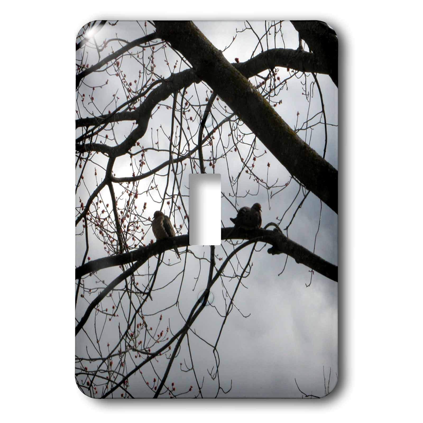 Interrupteur à baïonnette Dove on A Branch 3dRose LSP_17525_1 décoratif