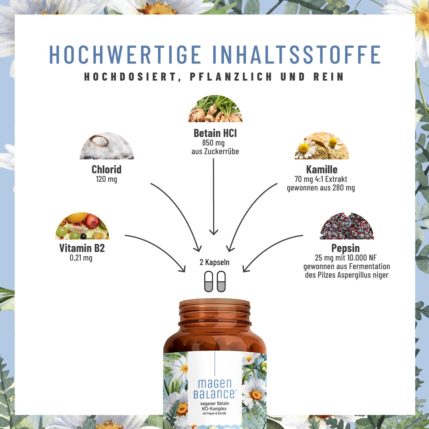 NATURTREU® Magenbalance Betain HCL Komplex vegan - mit Pepsin, Kamille & Chlorid - Unterstützung von Magensäure und Verdauung* - Vollspektrum Enzym Kapseln hochdosiert