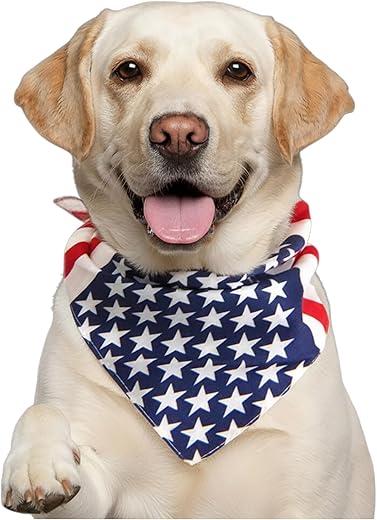 Best american flag dog bandana