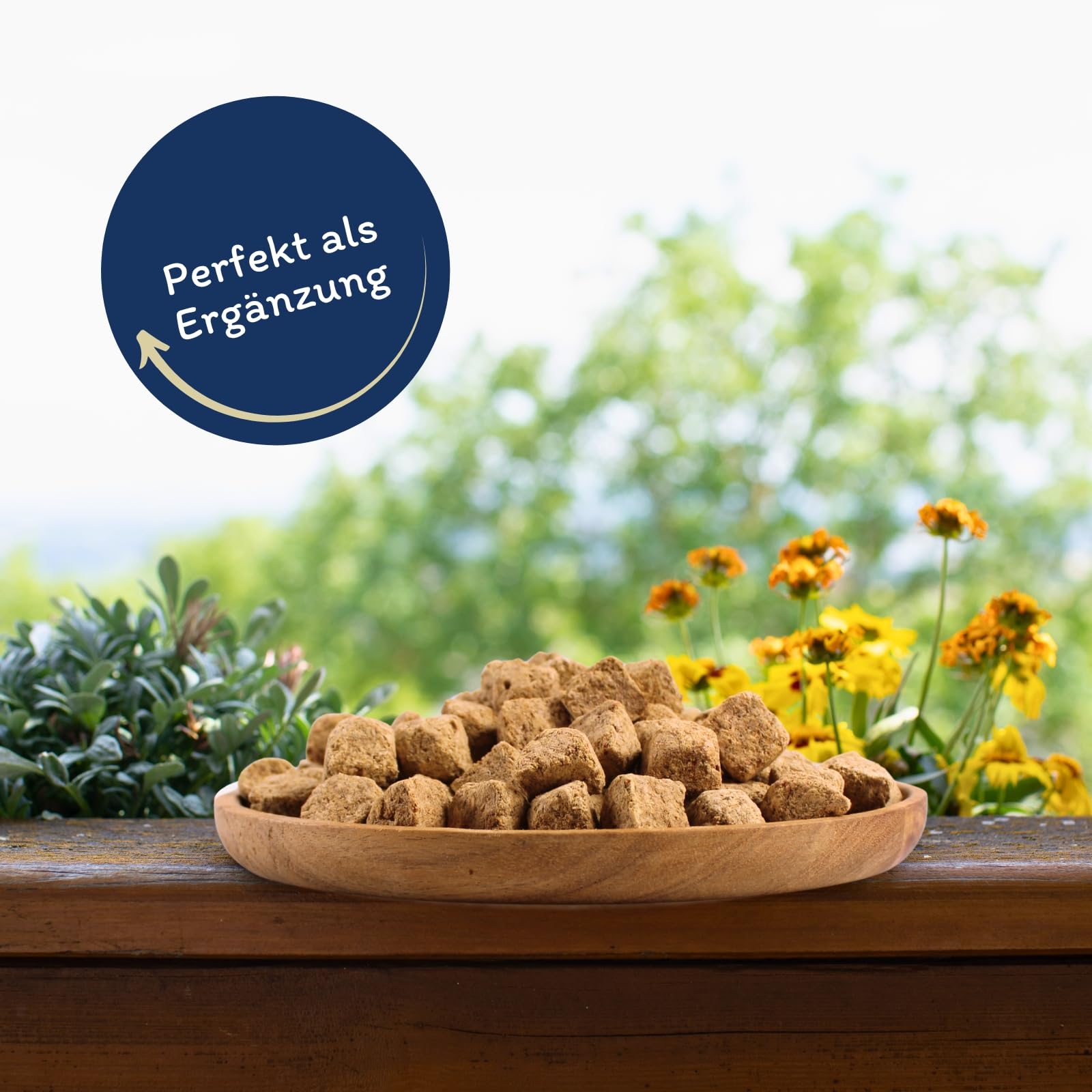 Lyra Pet® 5 kg Artemia Würfel gefriergetrocknet in 30 L Tonne Fischfutter | Futter aus Salinenkrebsen - Reich an Proteinen, Fetten & Ballaststoffen - Natürliche Nahrung für Zierfische & Reptilien
