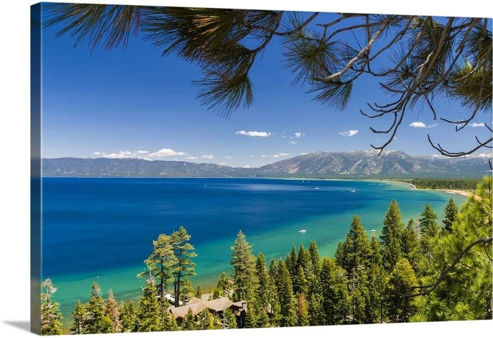 CANVAS ON DEMAND Pine Trees, Lake Tahoe, California, Usa Canvas Wall Art Print, Home Decor, Summer Artwork,24" x16in