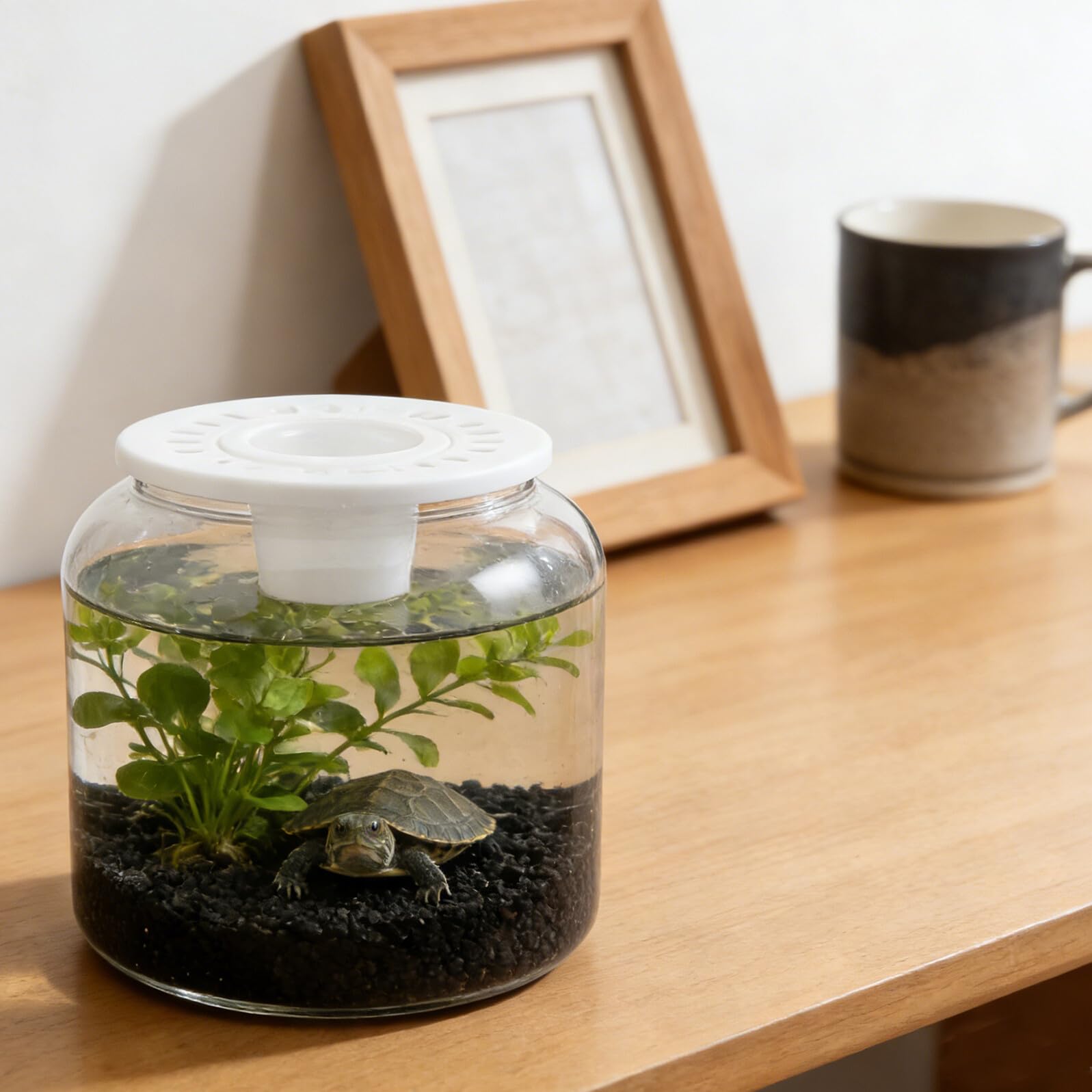 Przezroczysty Plastikowy Zbiornik Żółwia z Pokrywą Do Sadzenia Wytrzymałe Terrarium dla Małych Gadów Bezpieczne Środowisko dla Żółwi i Płazów Idealny Biurko i Do Obserwacji