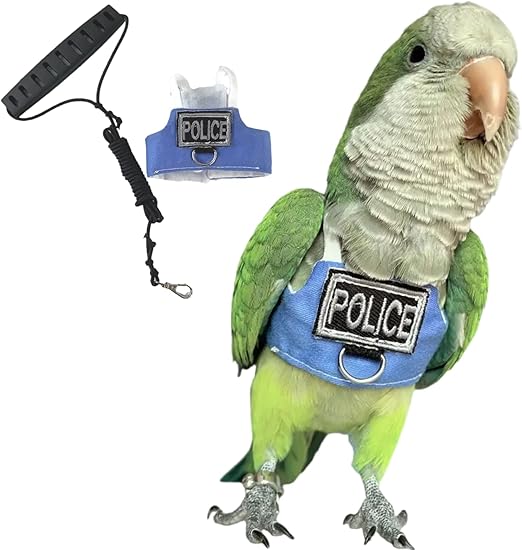 Bird Flight Harness Vest, Parrot Flight Suit with Leash, Bird Flying Clothes with Rope and Handle for Outdoor Activities (with Leash,Blue Quaker)