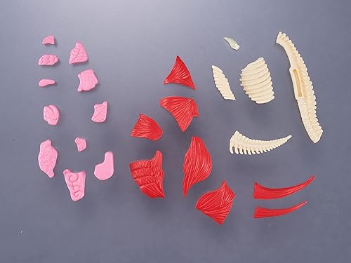 Vista 107 de Megahouse - Rompecabezas de carne, rompecabezas Kaitai