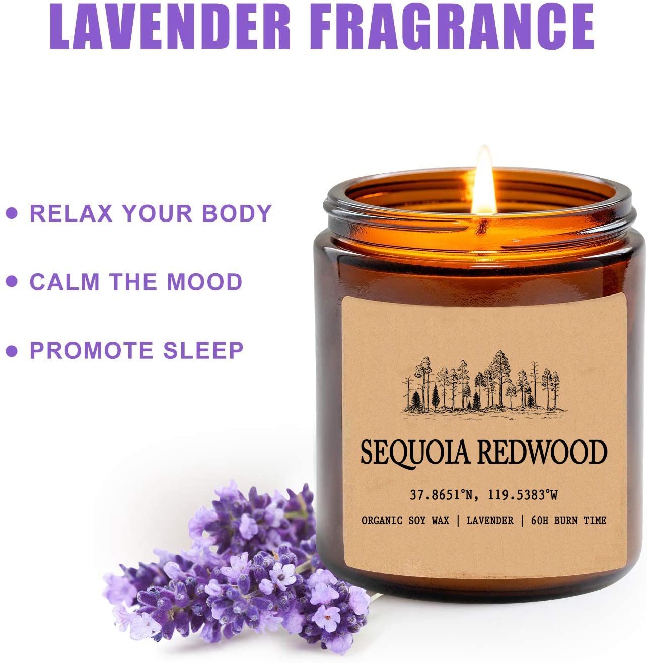 Sequoia Redwood - California Scented Candle - Organic Soy Wax - Gift for Her - Gift for Him - New Home Gifts - Birthday Gift for Friend - National Park Gifts - State Candles