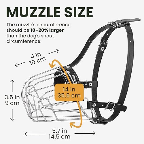 Miniatura 3 de BRONZEDOG Pitbull - Bozal para perro, máscara de metal, cesta de alambre Amstaff, correas de cuero ajustables para perros grandes (dorado)