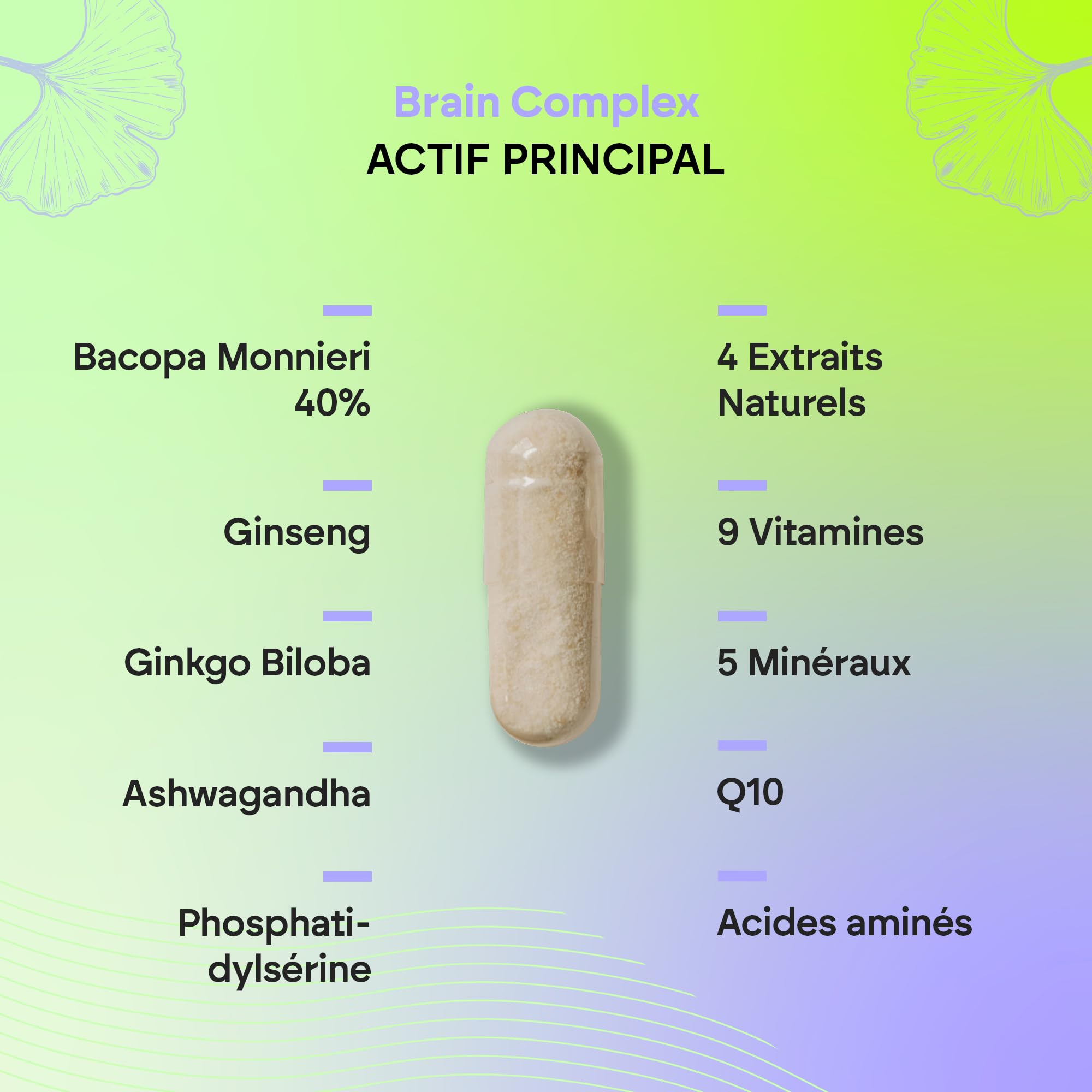 Nootropique Brain Complex - Mémorie et Concentration - Bacopa Monnieri, Ginkgo Biloba, Choline, Ginseng, L-Tyrosine + Vitamines - Brain Complex 60 Gélules Nutralie