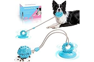 Tug-of-War Dog Toy with Double Suction Cups