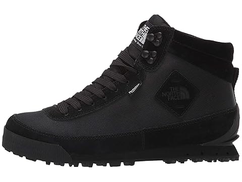 north face back to berkeley 2