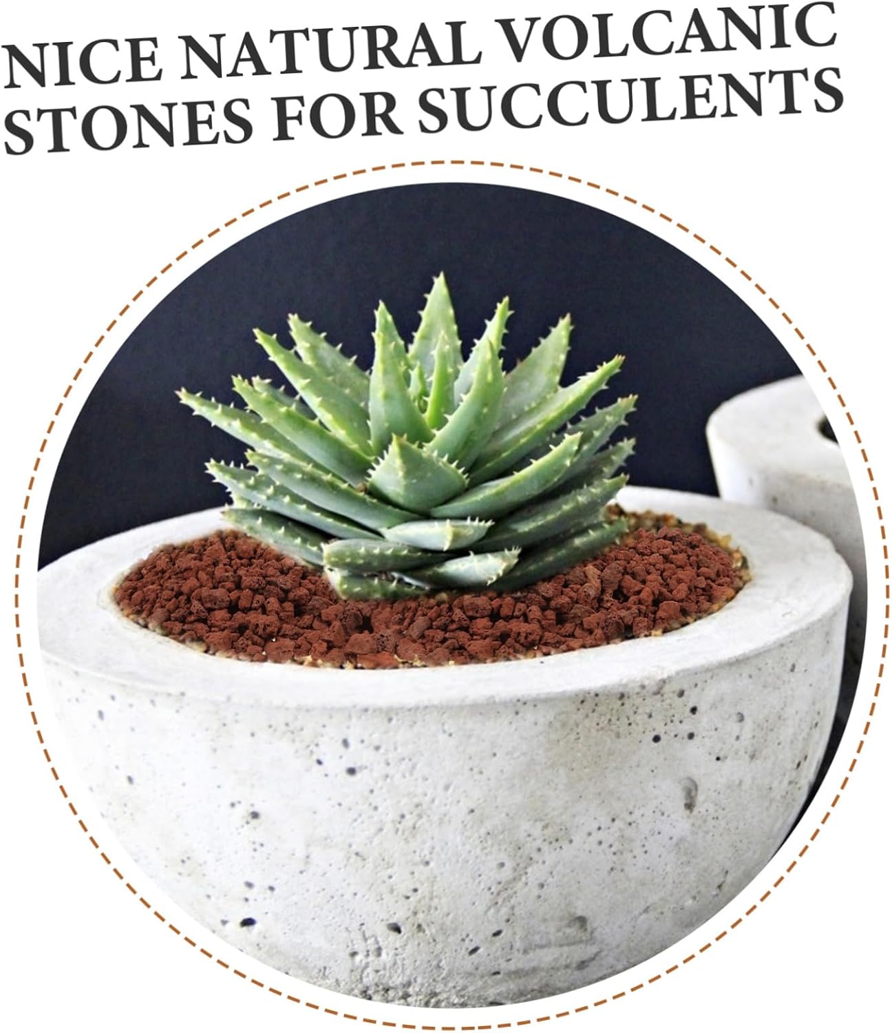 5bags Volcanic Rocks for Aquarium and Plant Decorations Stone for Bonsai and Potted Plants Aesthetic Appeal and Provides Safe Habitat