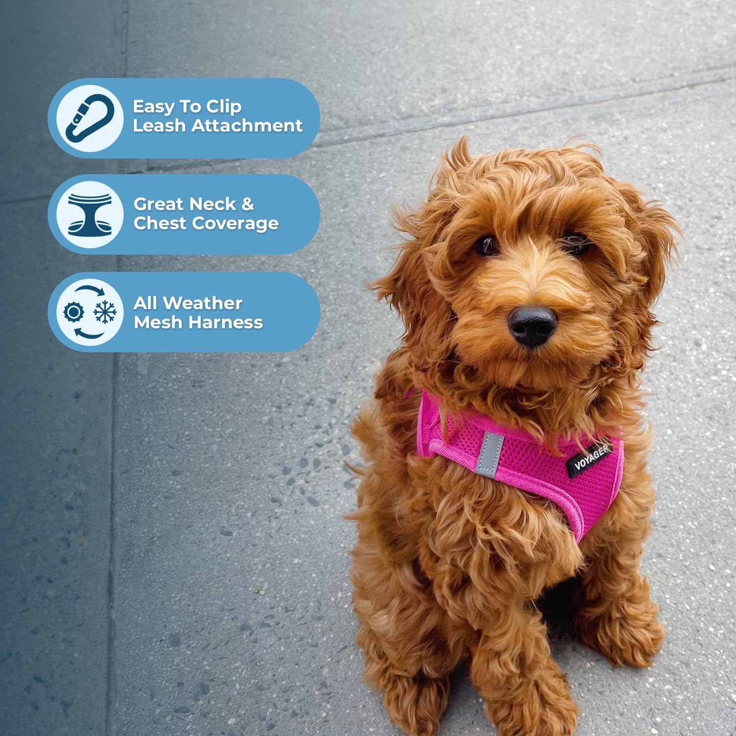 Step-in Air Mesh Dog Harness & Leash Combo - Reflective, All-Weather, For Small To Large Breeds (Fuchsia, XS) - View #7