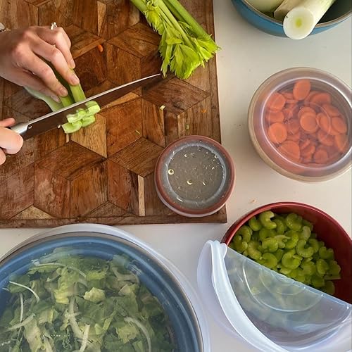 Miniatura 5 de Stasher Tapas elásticas de silicona reutilizables de alta calidad, paquete de 4, transparentes, 9, 6.5, 4.5, 2.5 pulgadas, sellado hermético,