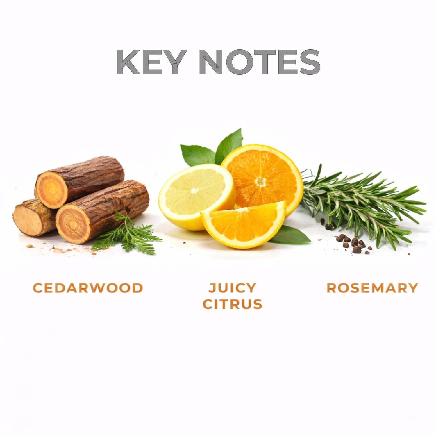 Naturals Cedar Citrus Artisan Bar Soap | 5 oz | 3-Bar Collection | Cold Process | Premium Botanical Soap