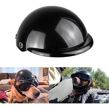 pug motorcycle helmet