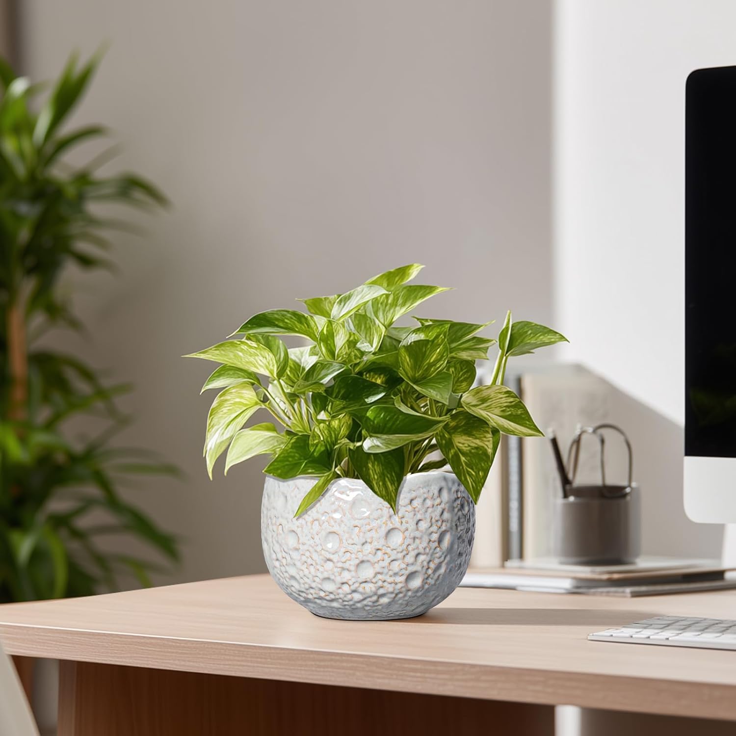 Ceramic Plant Pots 6 Inch - Ceramic Orchid Pot with Drainage Hole and Plug, Unique Pots for Plants Indoor Outdoor, Decorative Modern Planter, Living Room Decor, Plant Lovers Gifts, Grey