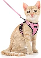 Dooradar Escape-Proof Cat Harness & Leash Set for Kittens - Adjustable Breathable Mesh Vest with Reflective Strips, Pink XS