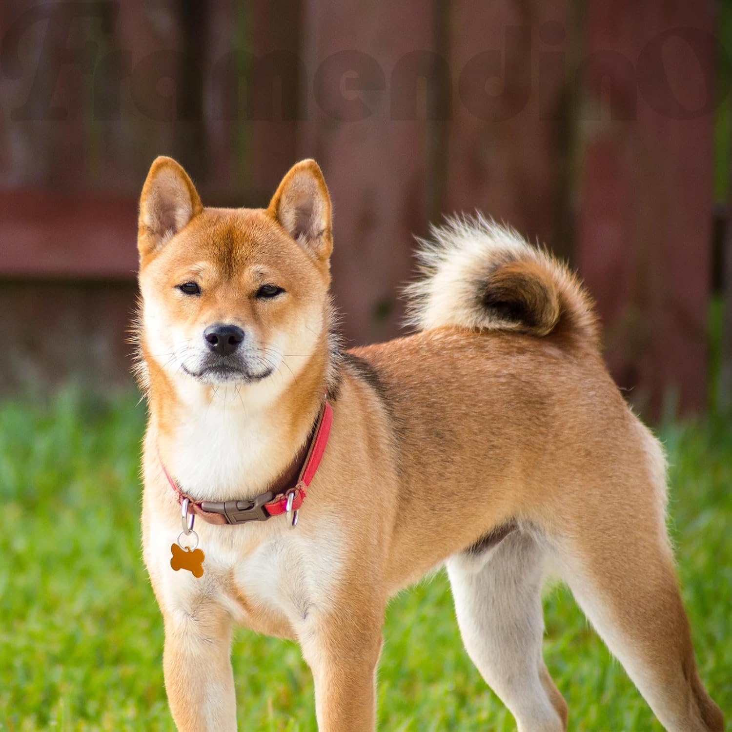 Framendino, 60 Pack Pet ID Tag Colorful Blank Double Sided Aluminum Charms for Dog Cat DIY Crafts Jewelry Making 10 Colors 3 Different Shapes - Image 4