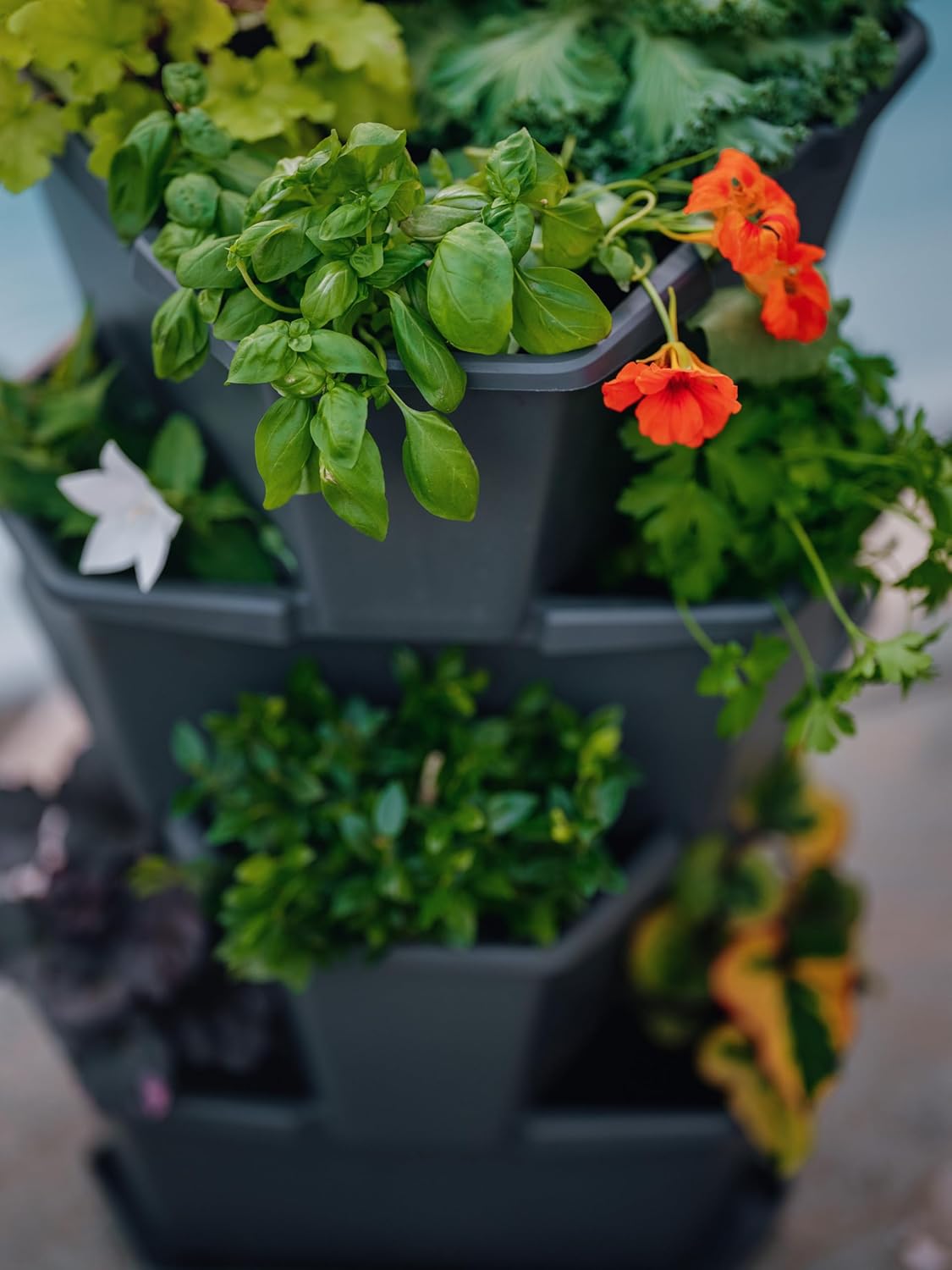 BUZZY Seeds Starter Stackable Vertical Planter – 4-Level Raised Garden Tower for Potatoes, Strawberries, Vegetables & Flowers (Gray)