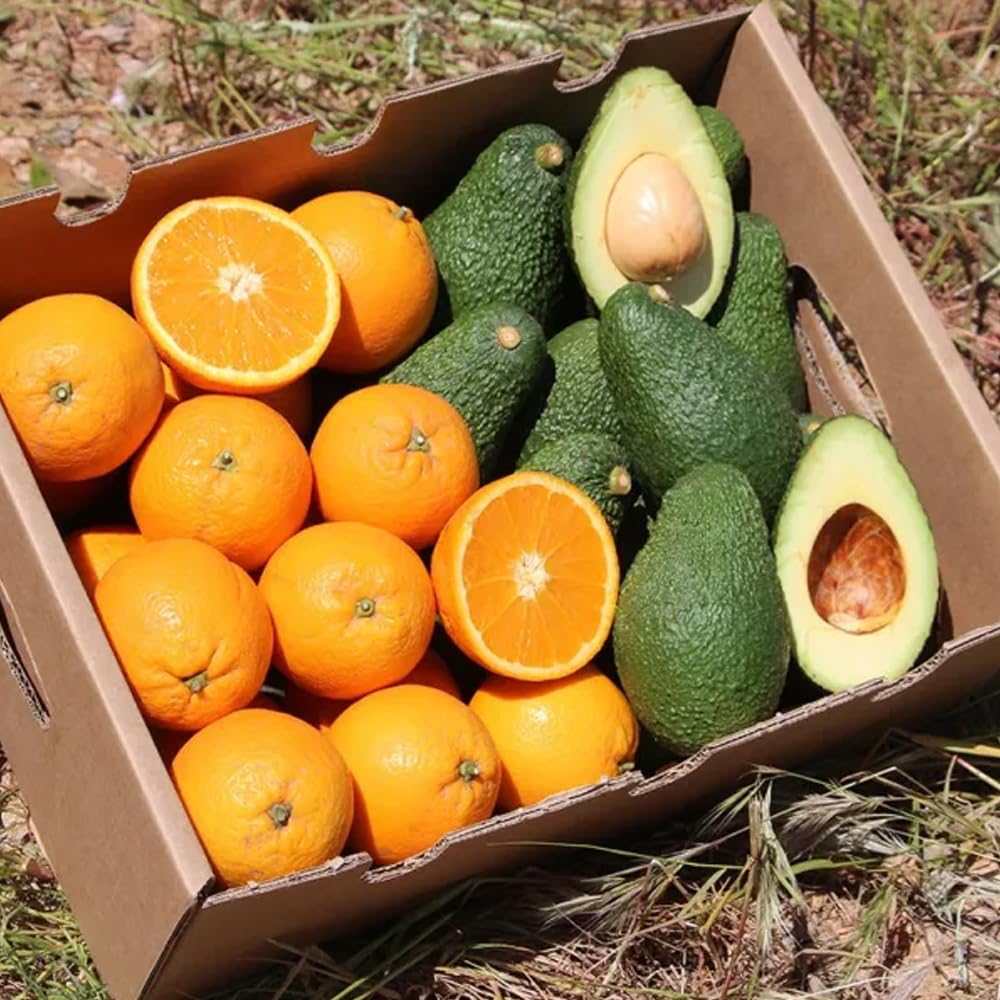 Boîte d'avocat hass et oranges | 2 kg d'avocat hass et 2 kg d'oranges, cultivées de manière durable, et expédiées directement du champ à votre maison, garantissant fraîcheur et saveur