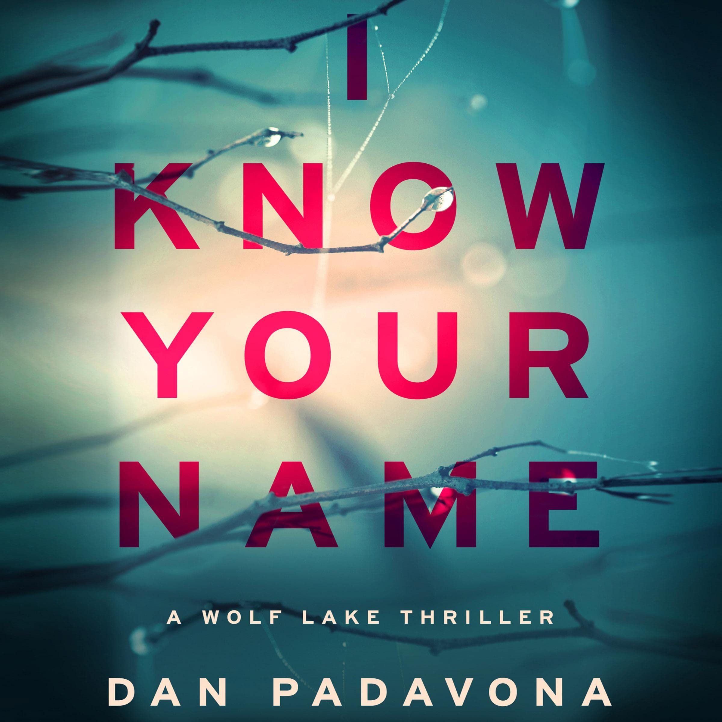 Cover art for I Know Your Name