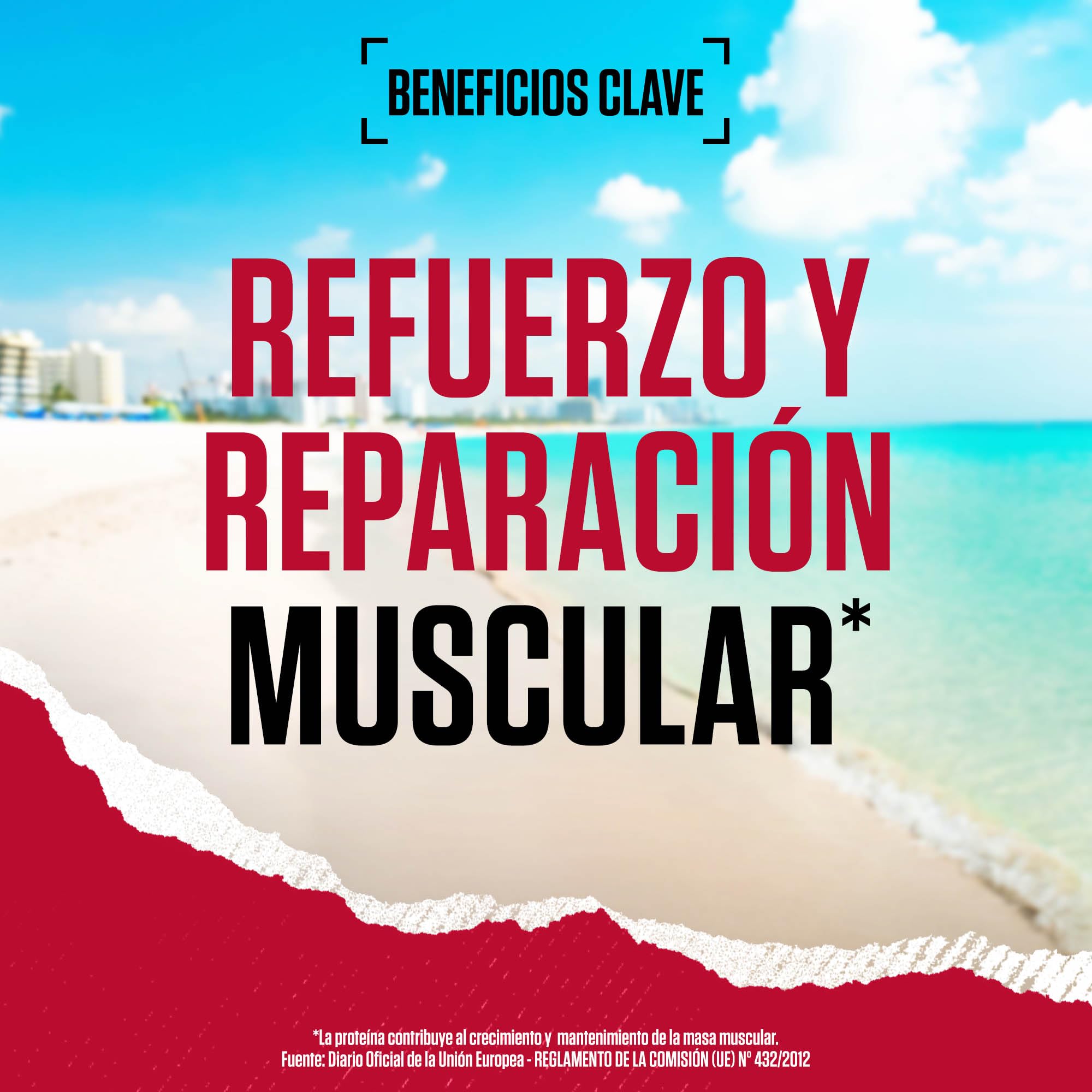 BSN Syntha 6 Proteína en Polvo Ultra-Premium para el Crecimiento y la Reparación Muscular, Bajo en Azúcar y Rico en Proteínas, Sabor Batido de Chocolate, 48 Porciones, 2,26 kg