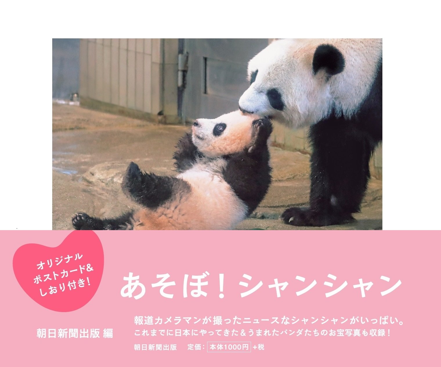 あそぼ シャンシャン オリジナルポストカード しおり付き 朝日新聞出版 本 通販 Amazon