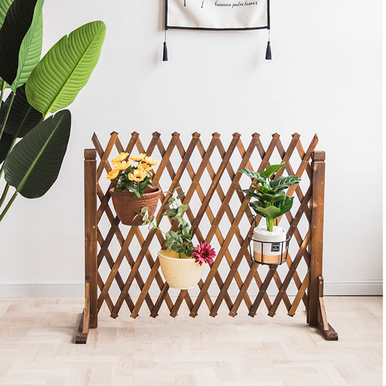 Buy JeeKoudy Expanding Trellis Fence Climb Trellis Freestanding Wooden