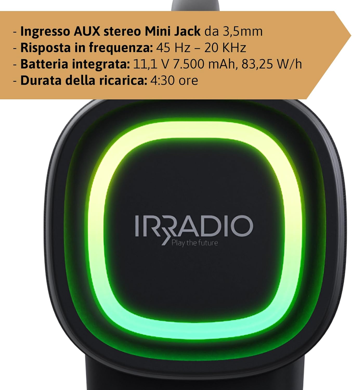 Close-up of the IRRADIO IR-GT710V speaker's rear panel, showing the input ports and charging port.