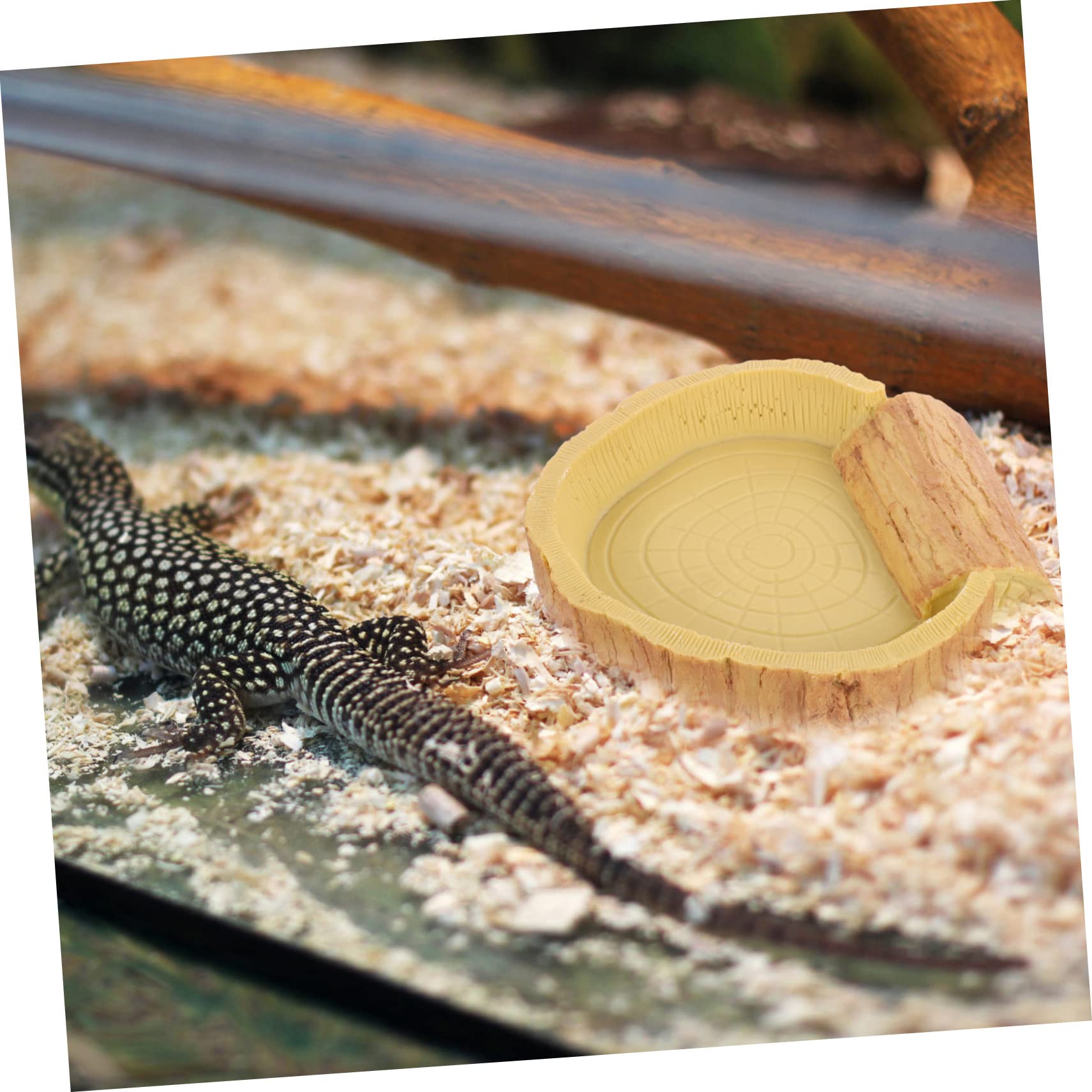 Toyvian Ciotola per Rettili in Resina, Arancione, Facile da Pulire, per Cibo e Acqua nel Terrario, Accessorio per Rettili e Tartarughe