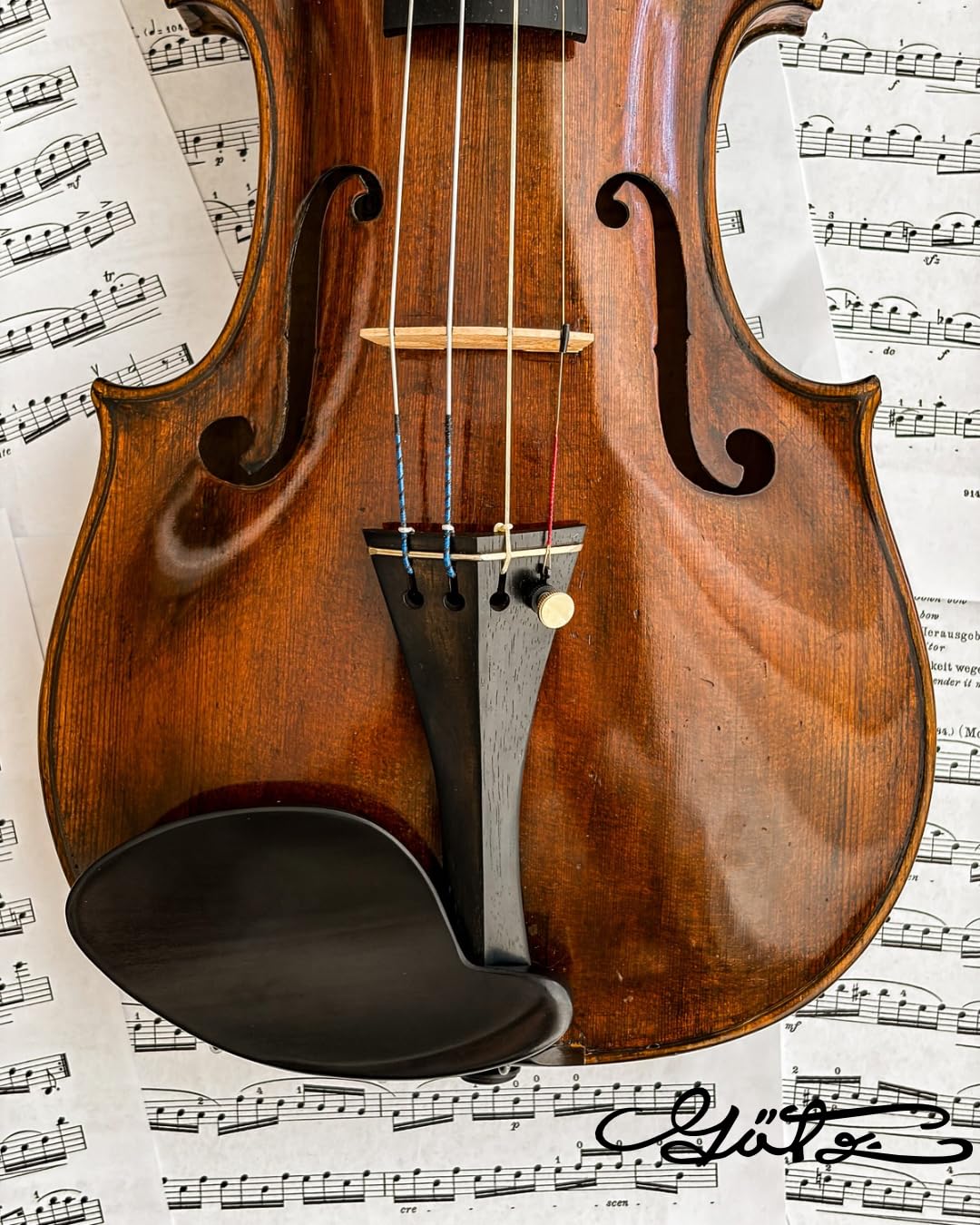 Conrad Gotz Zk281-nat Mentonnière Vermeer pour violon, Naturel Ébène